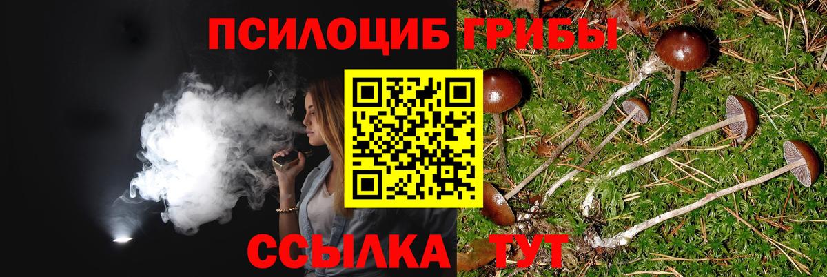 Псилоцибиновые грибы MAGIC MUSHROOMS Ярцево