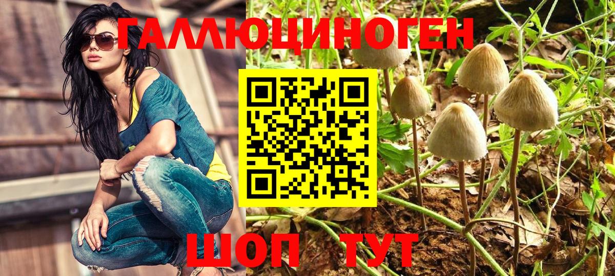 цены   Галлюциногенные грибы Psilocybe  Вход с VPN  Ярцево 